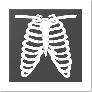 rib cage Posters and Art